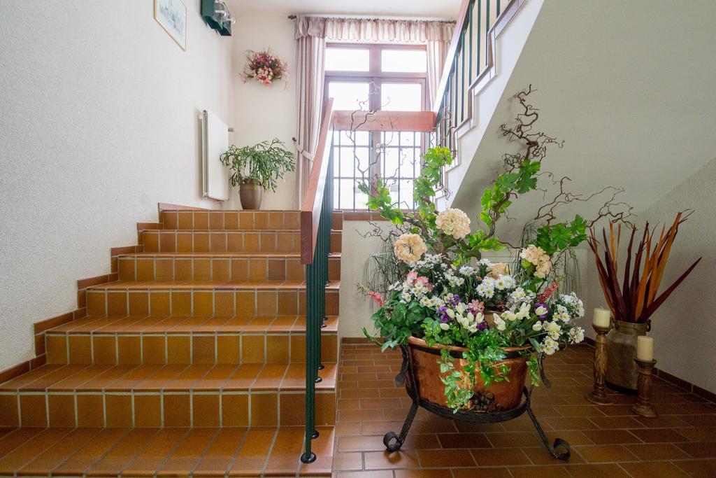 Hotel Am Lingelbach 크눌발트 외부 사진