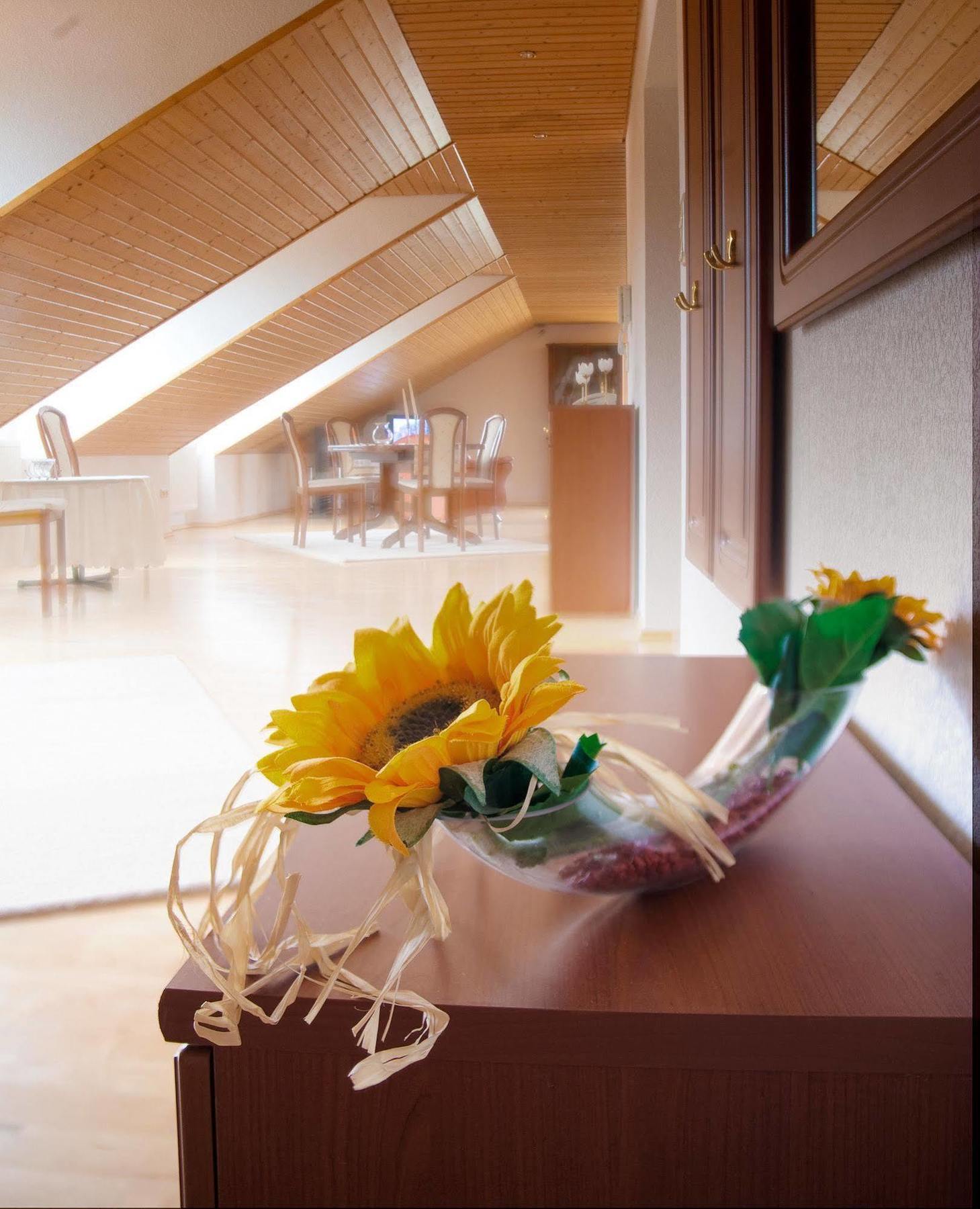 Hotel Am Lingelbach 크눌발트 외부 사진